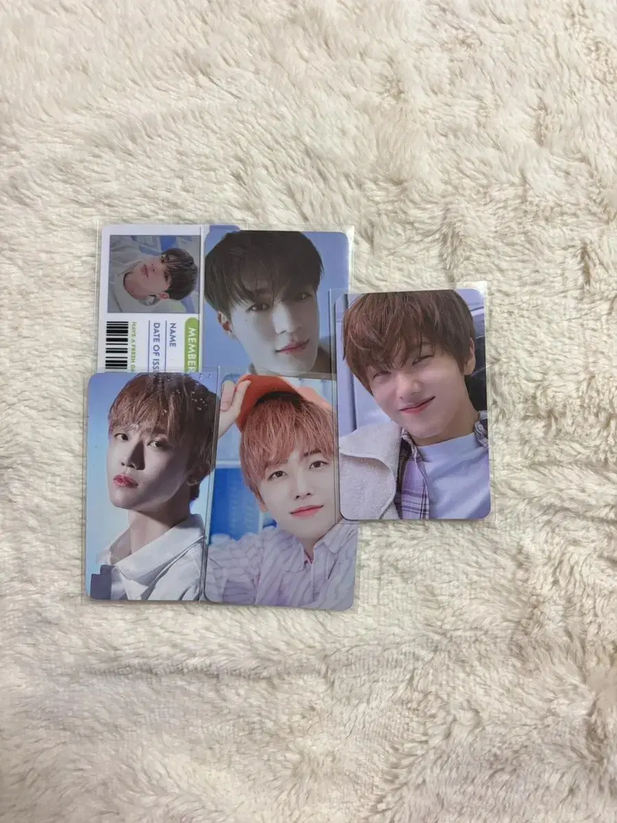 Bulk WTS) Lundri/Daydream tc triplej photocard transfer