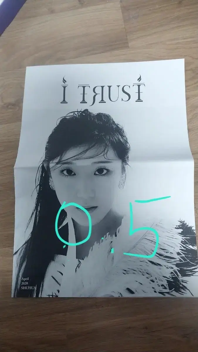 Idle shuhua poster Sells