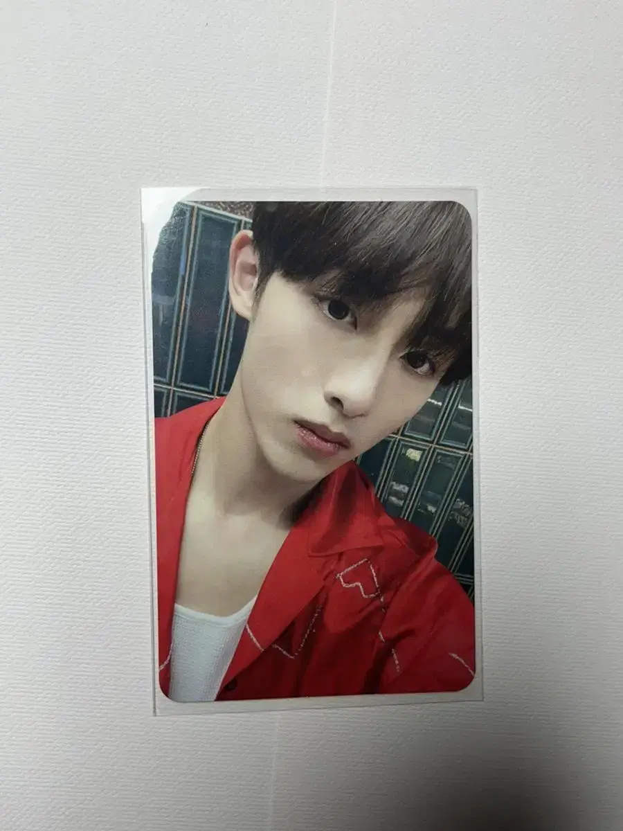 GoldenEJI winwin photocard