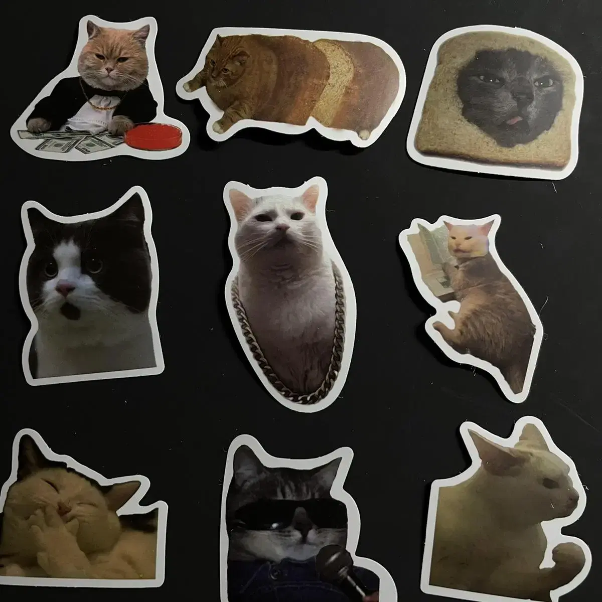 Cute and hip cat sticker 50p