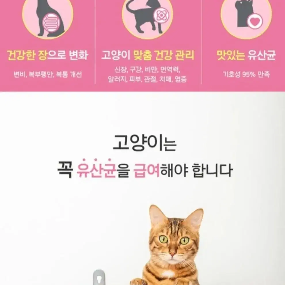 0626 (새) 마이펫닥터 포 캣 고양이 맞춤 생유산균 30포 16000