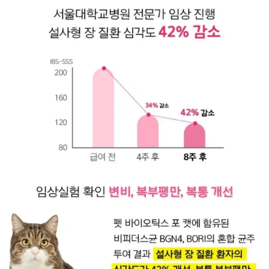 0626 (새) 마이펫닥터 포 캣 고양이 맞춤 생유산균 30포 16000