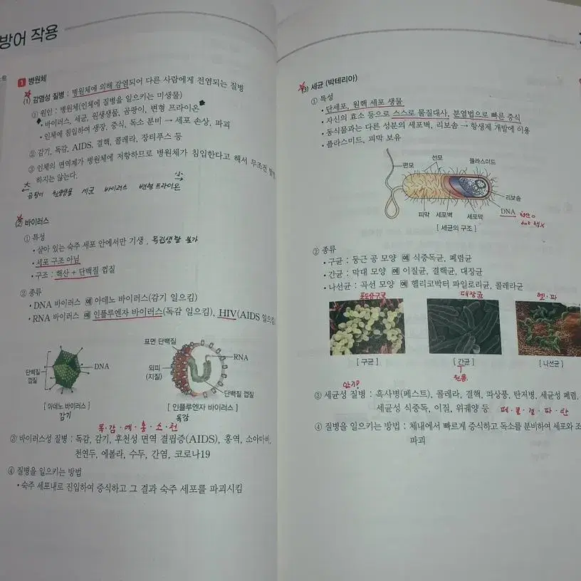 백호 섬개완 2024 (개념+문제편+서브노트)