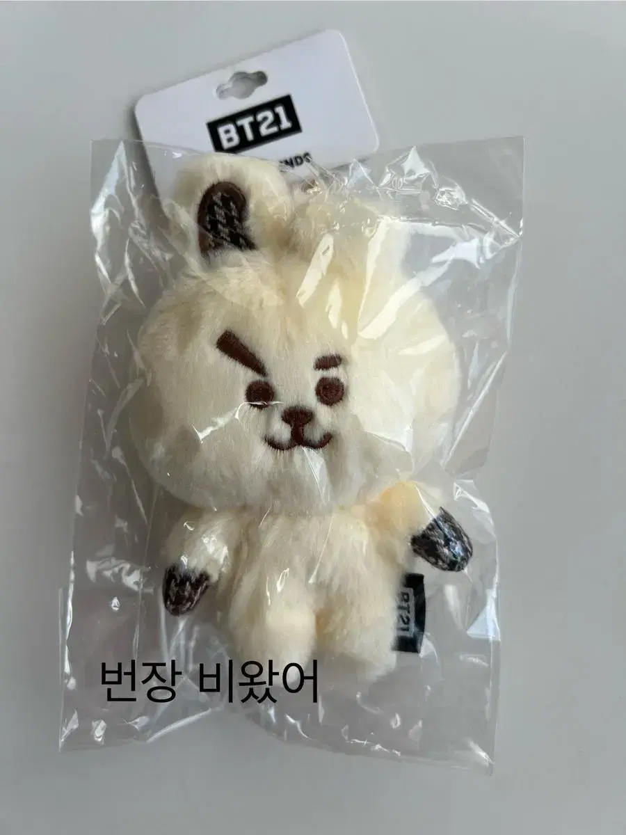 BT21 일본 글렌체크 마스코트