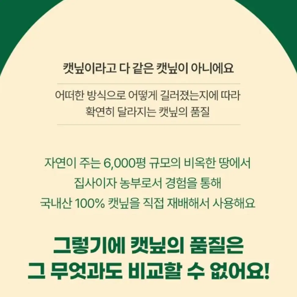 (새상품) 고로롱 고양이 애착인형 고양이 장난감 캣츠패밀리 캣닢쿠션