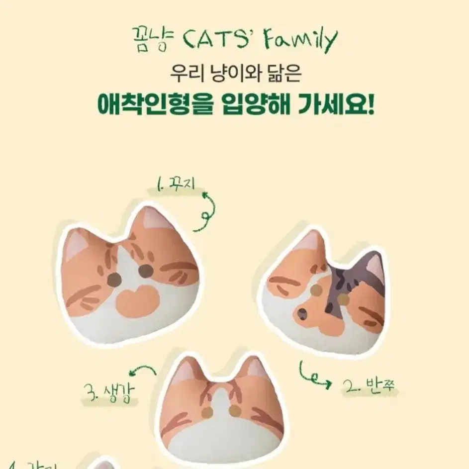 (새상품) 고로롱 고양이 애착인형 고양이 장난감 캣츠패밀리 캣닢쿠션