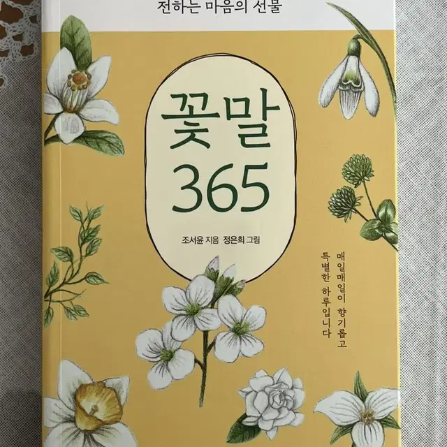 꽃말 365 운세 책