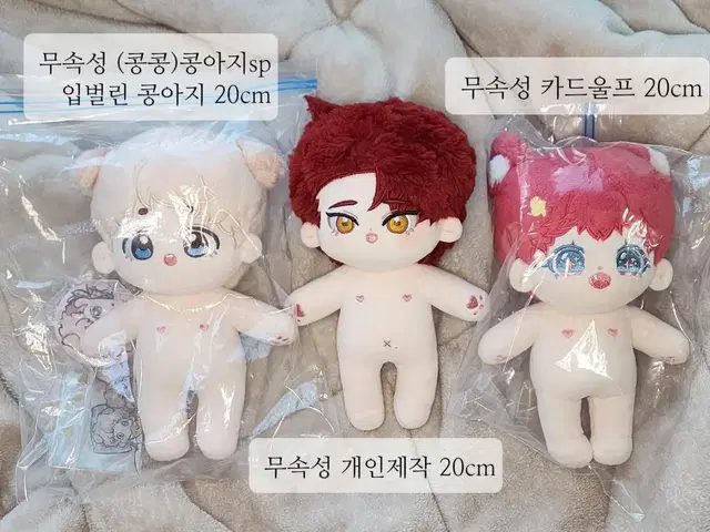 무속성 20cm 솜인형 콩아지(콩콩) 베베샤크 개인제작 카드울프 미니호아