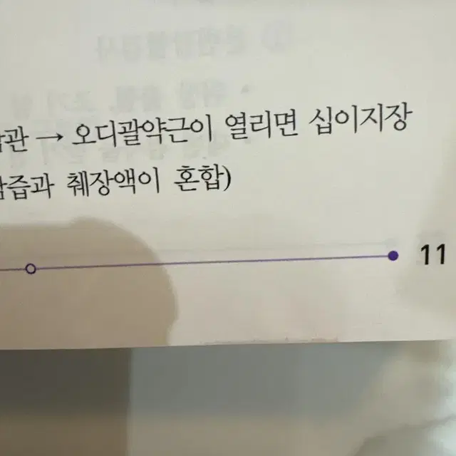 2024 퍼시픽 간호 국시 대비 문제집(성인,지사간)