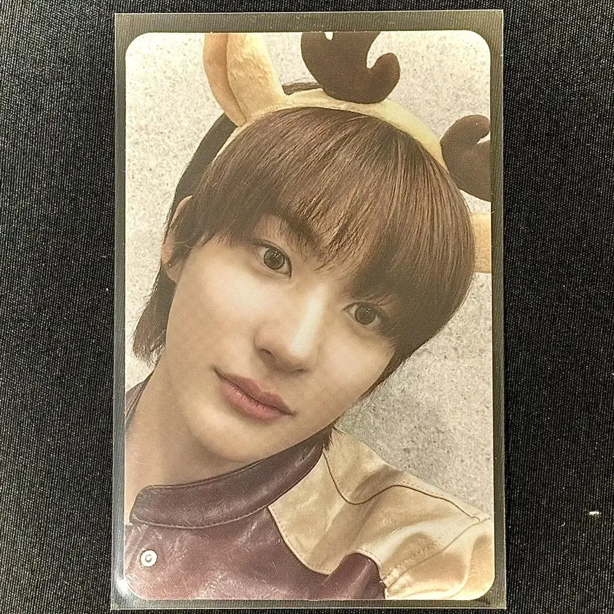 RIIZE riize 2023 Pink Christmas Random Pack Photo kard / chanyoung