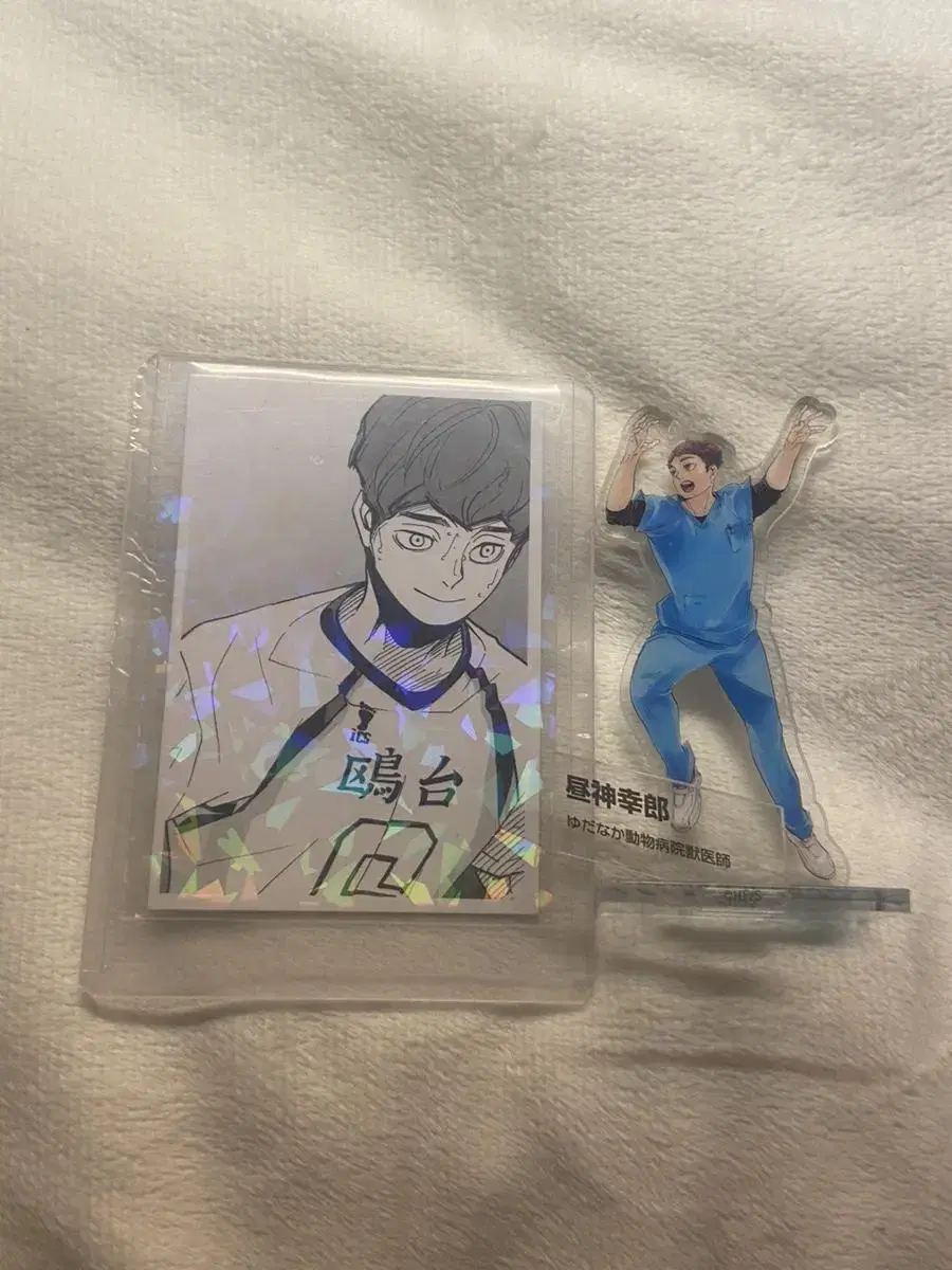 Haikyuu Hirugami Sachiro Mini acrylic photocard