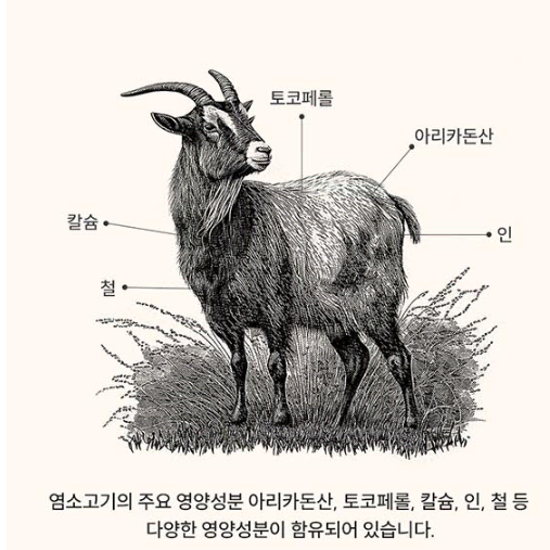 흑염소 흑염소즙 흑염소진액 건강선물 부모님 선물(새상품)무료배송!!