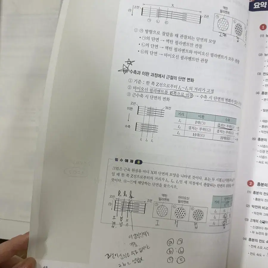 백호 2023 섬개완