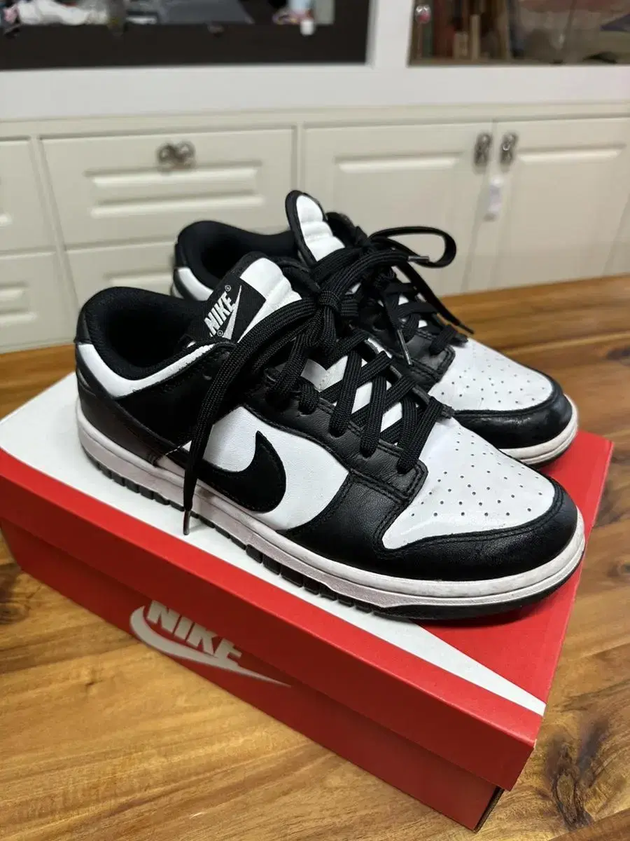 Nike Women's Killer Whale Dunk W255