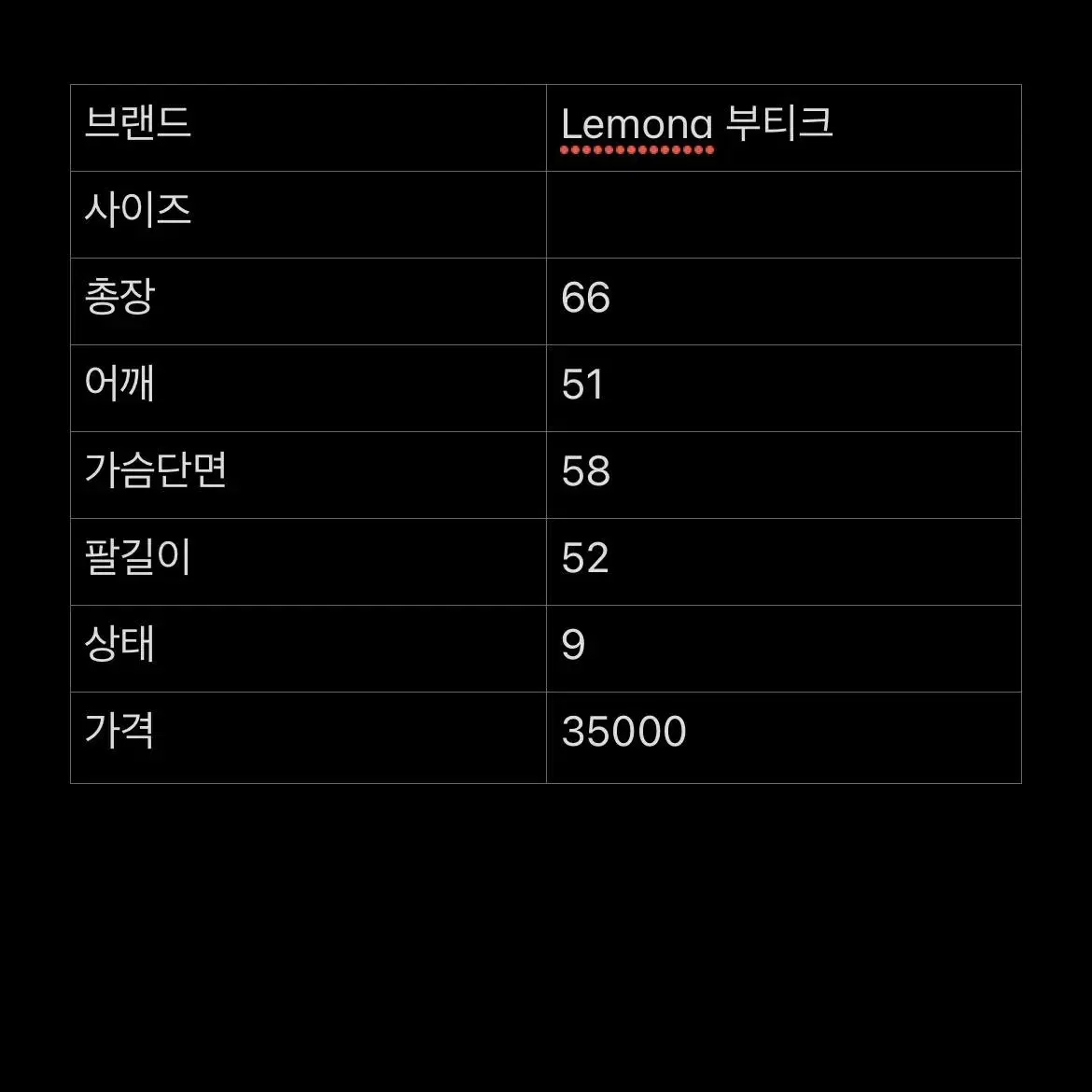 LEMONA 부티크  빈티지 카라 셔츠