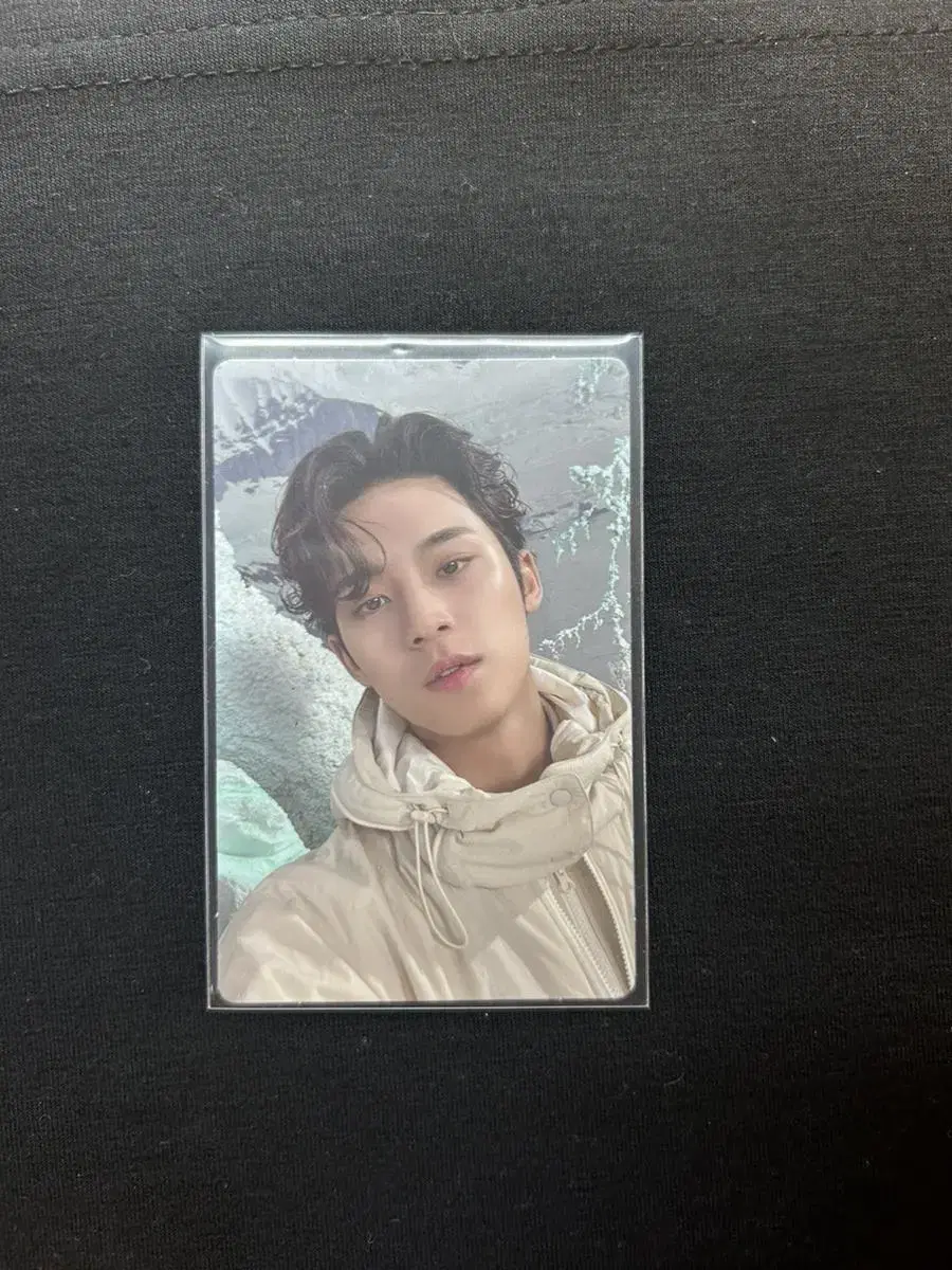 Mingyu Sector 17 Photocard