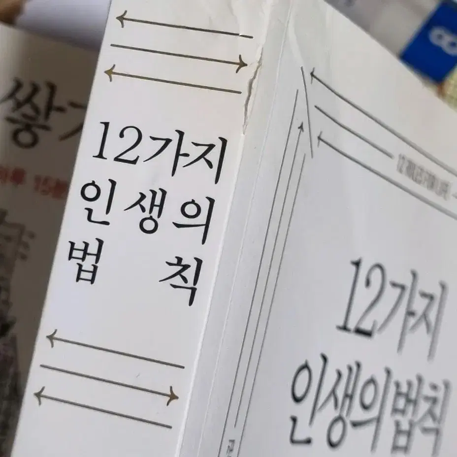 조던 피터슨 책 12가지 인생의 법칙