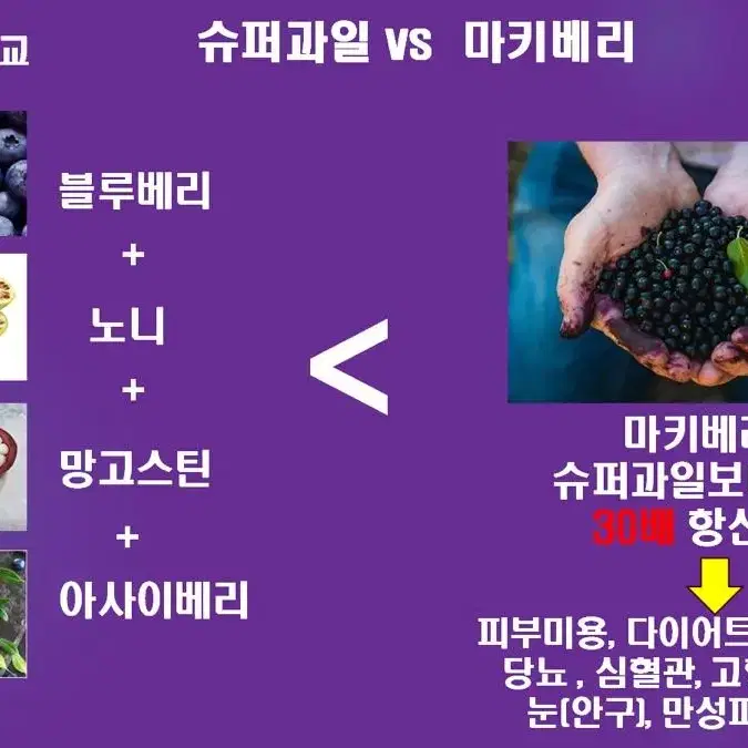 마키베리 항산화 효소 글루타치온 비타민 붓기 피로