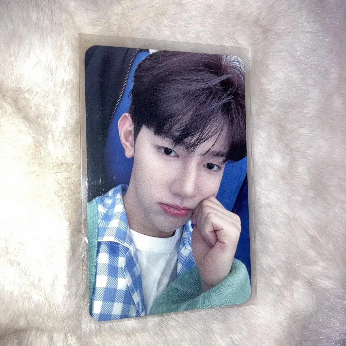 zb1 2집 melting point zhang hao everline cheekbones unreleased photocard