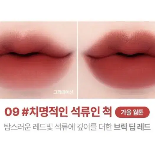 릴리바이레드 무드 라이어 벨벳 틴트(09치명적인 석류인척)