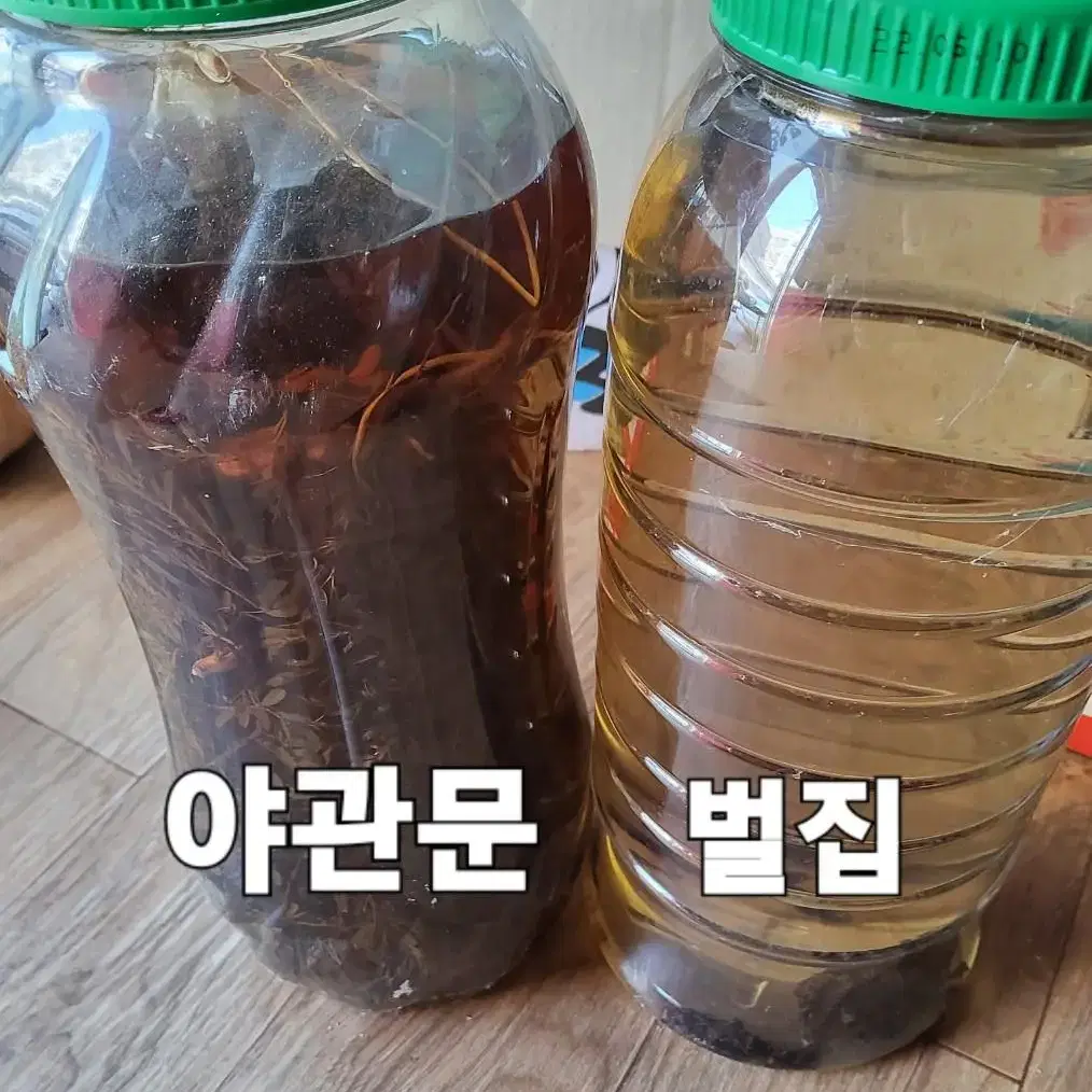 초석잠 피마자 호두 등 직접 재배  판매 합니다