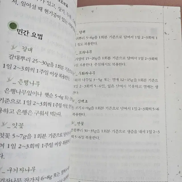 허준 동의보감 민간요법