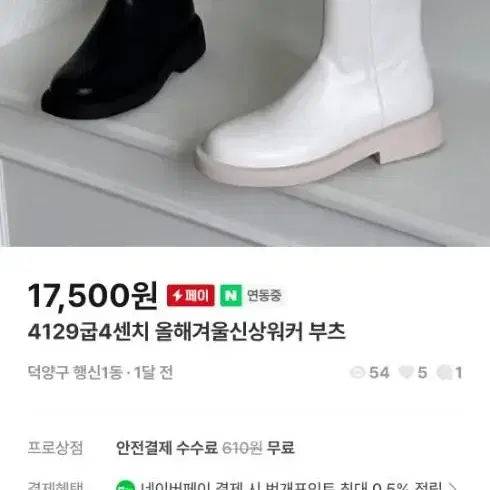 29500 구두