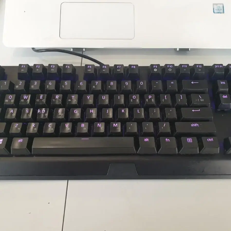 Razer Blackwidow V3 TENKEYLESS 레이저 블랙위도우