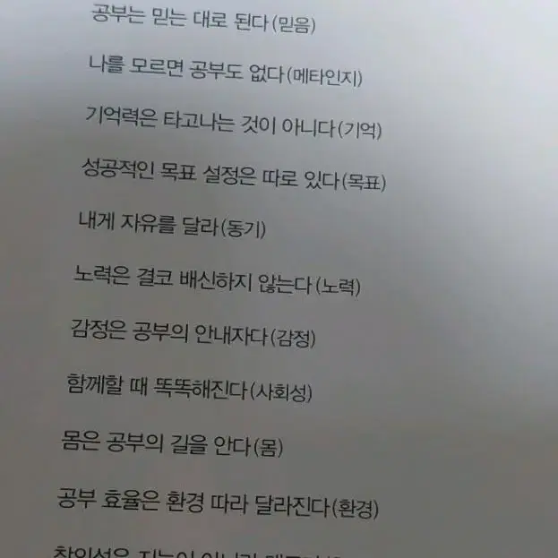 완공 : 완벽한 공부법 고영성 신영준