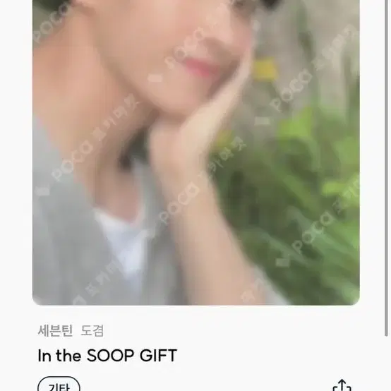 인더숲 기프트 gift 도겸 포토카드 포카 양도 세븐틴 부석순