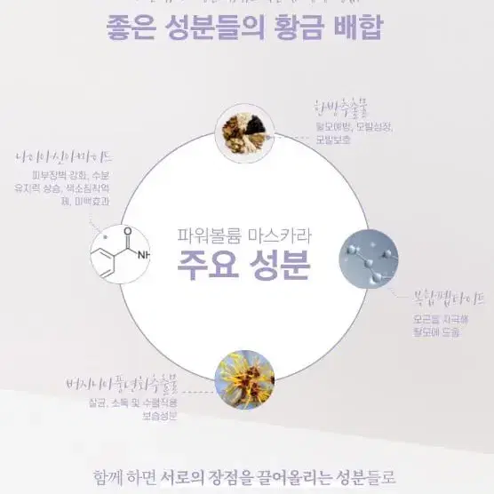 벨르 래쉬업더블 듀얼 토닉에센스 2in1 5ml + 5ml 토닉 에센스