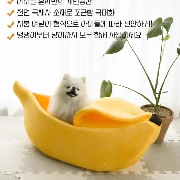 바나나숨숨하우스