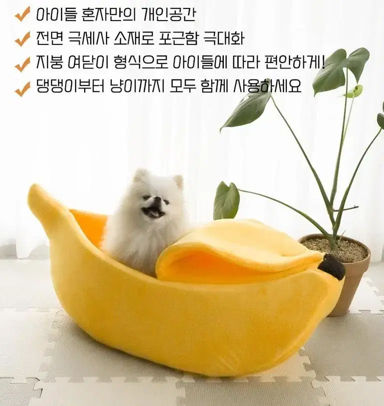 바나나숨숨하우스