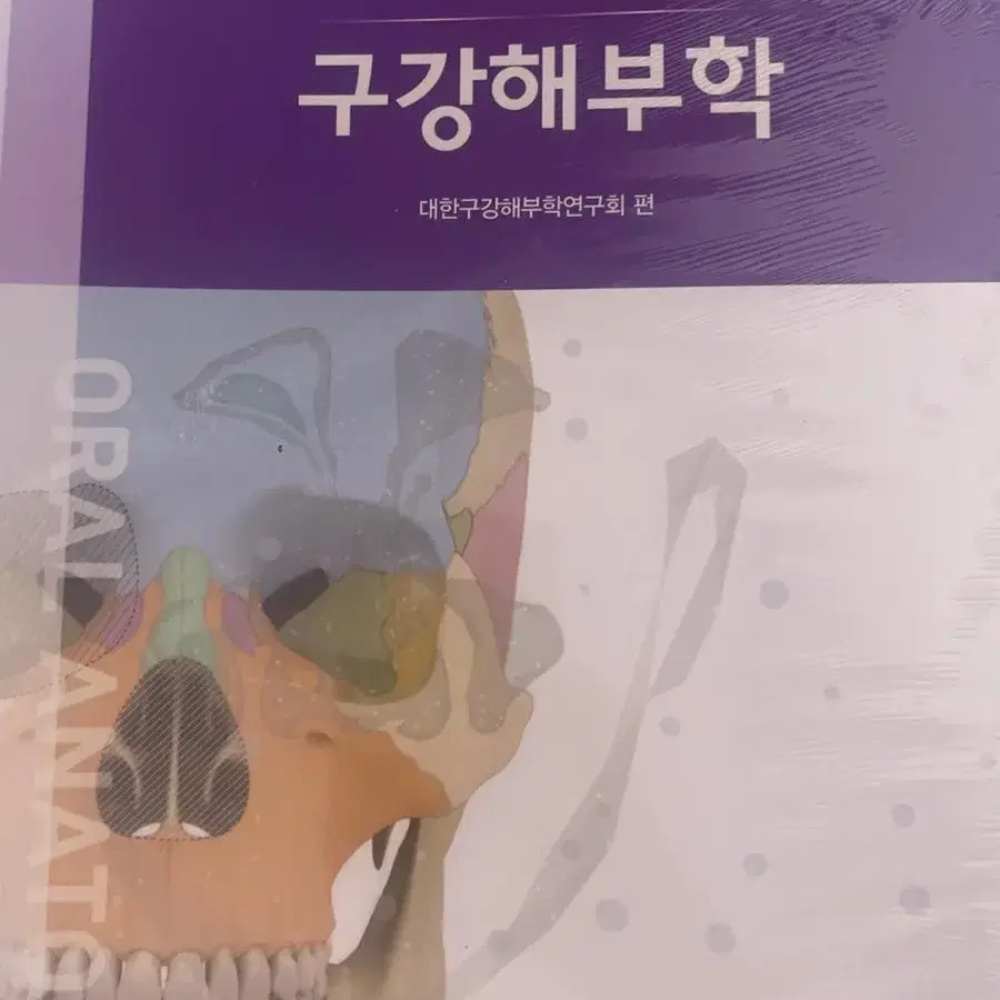 치위생 관련 전공 책