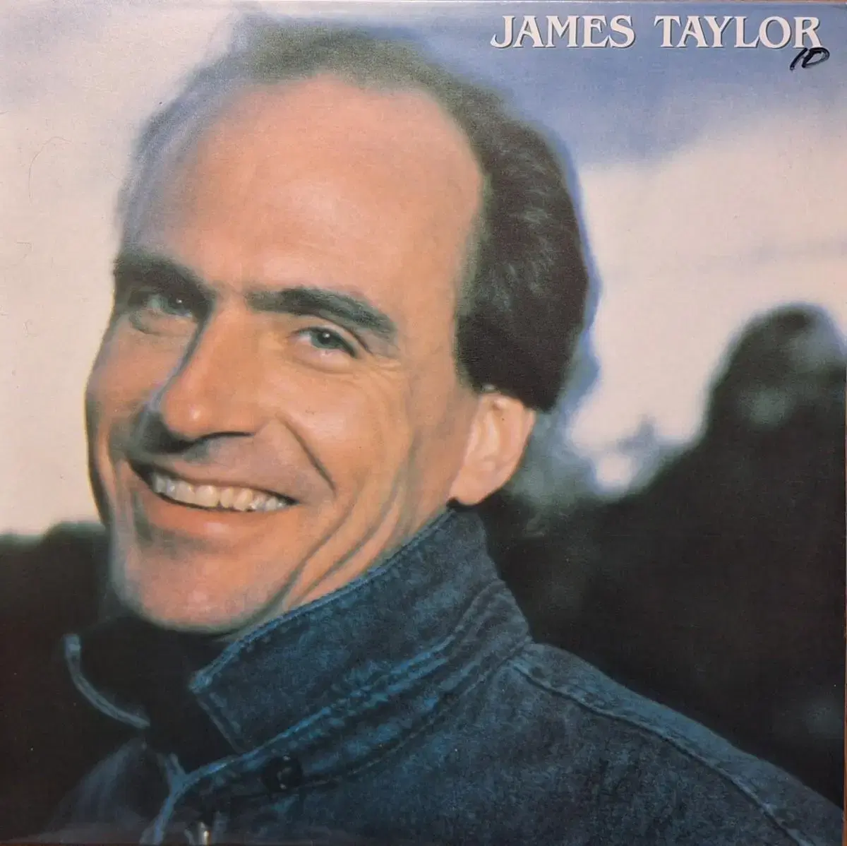 국내라이센스반/James Taylor LP