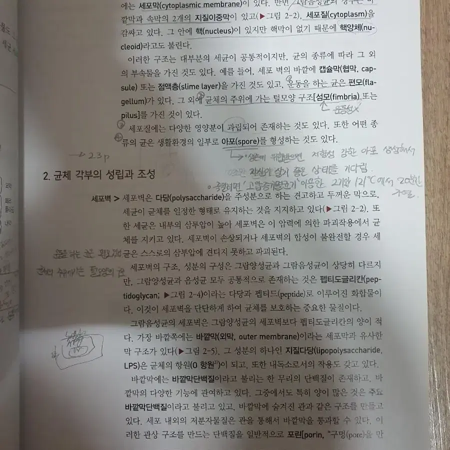 미생물학 제 12판 정문각