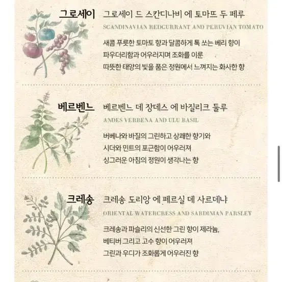 불리 향수 레 자뎅 프랑세 오 트리쁠 향수 ㅡ그로세이