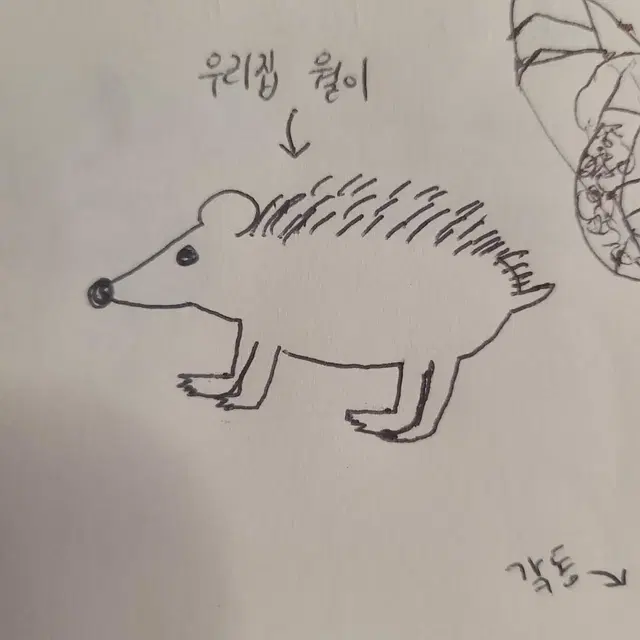 단돈 500원에 저퀄리티 그림 그려드립니다!