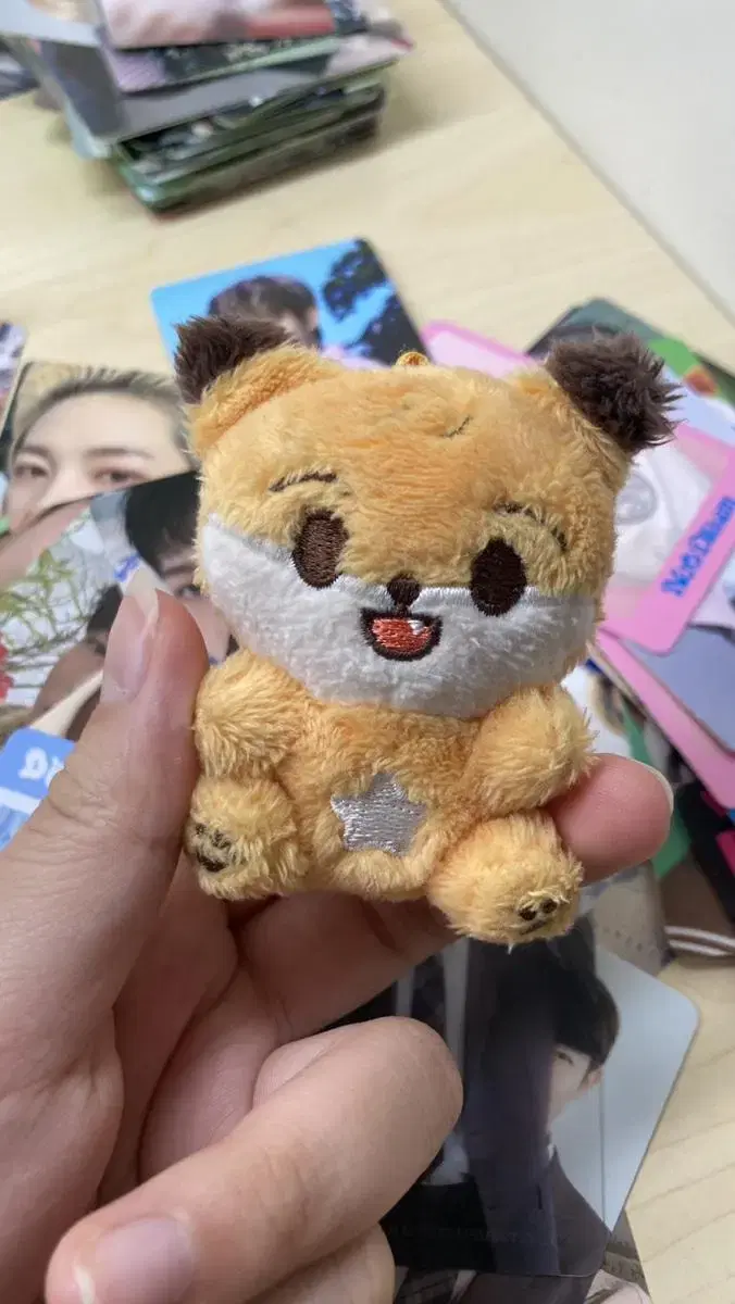 Renjun doll renjun+selfie wts