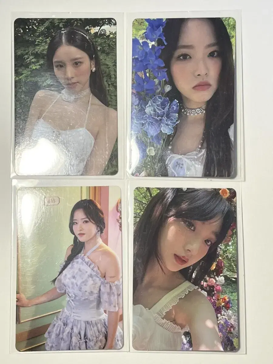 Loona photocard sells