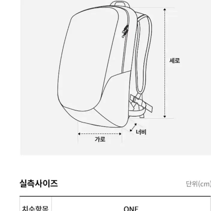 노스페이스 보레알레스2  가방