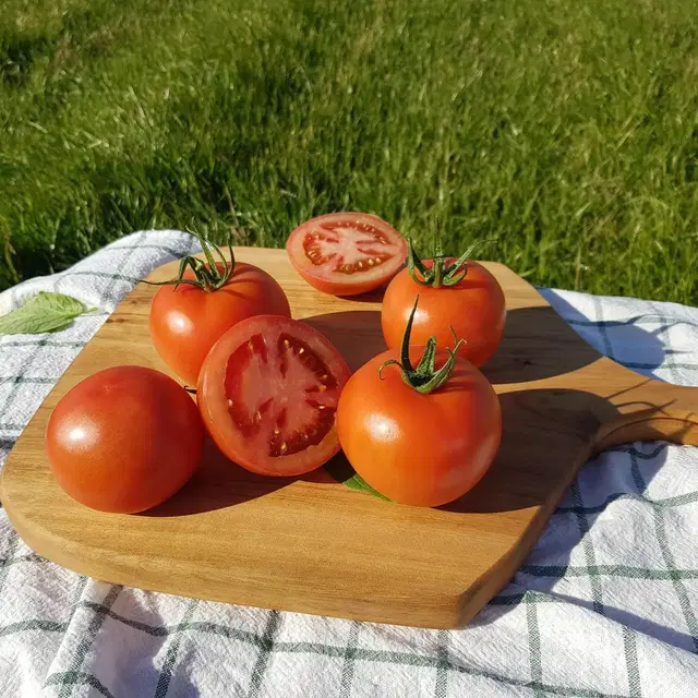 부드럽고 쫄깃한 완숙토마토