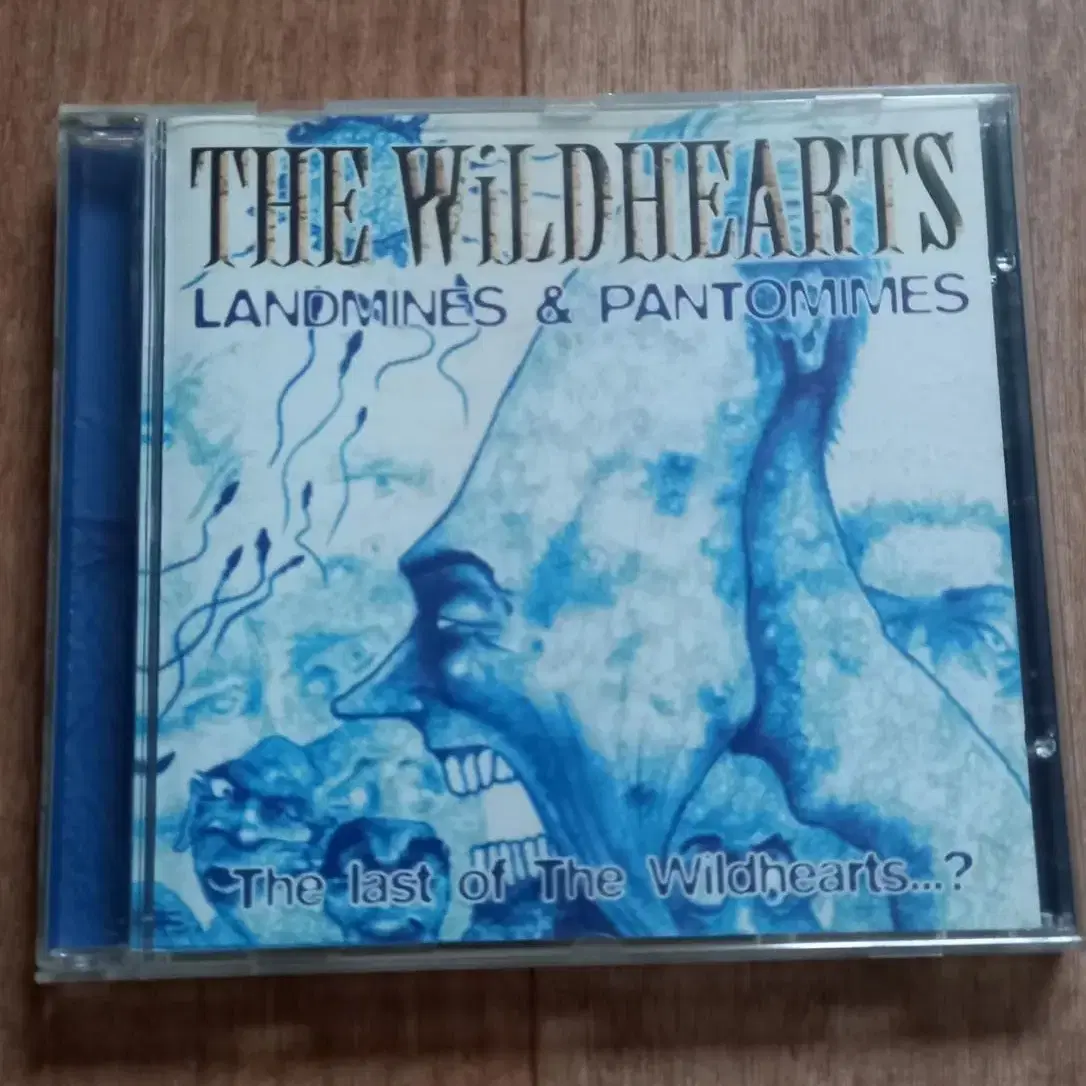 the wildhearts cd 수입 시디