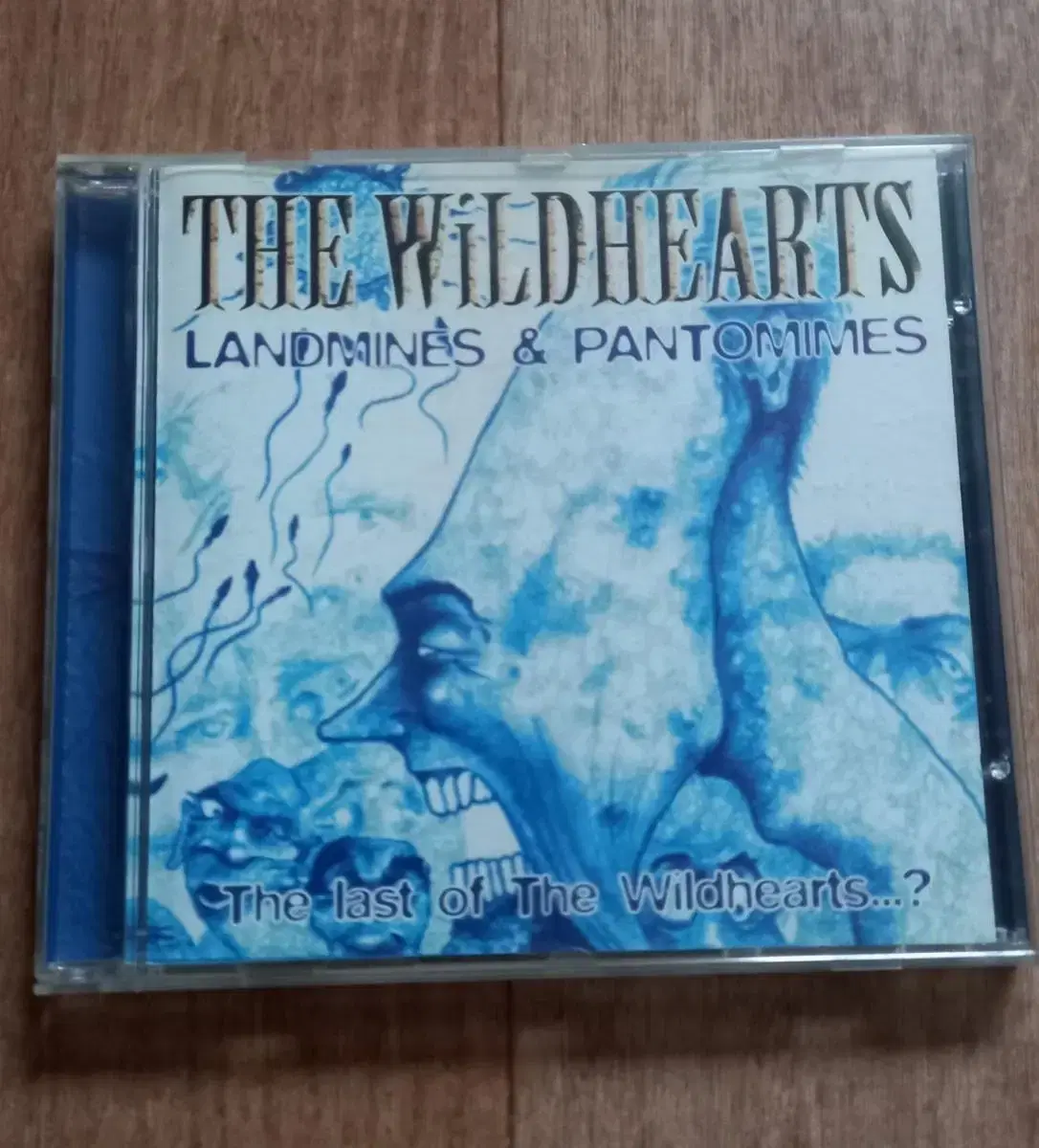 the wildhearts cd 수입 시디