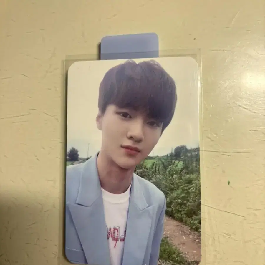 차준호 포카