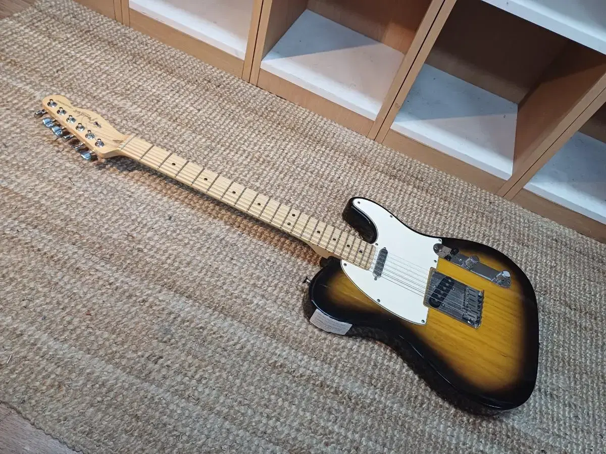 펜더 텔레캐스터 일렉기타 fender