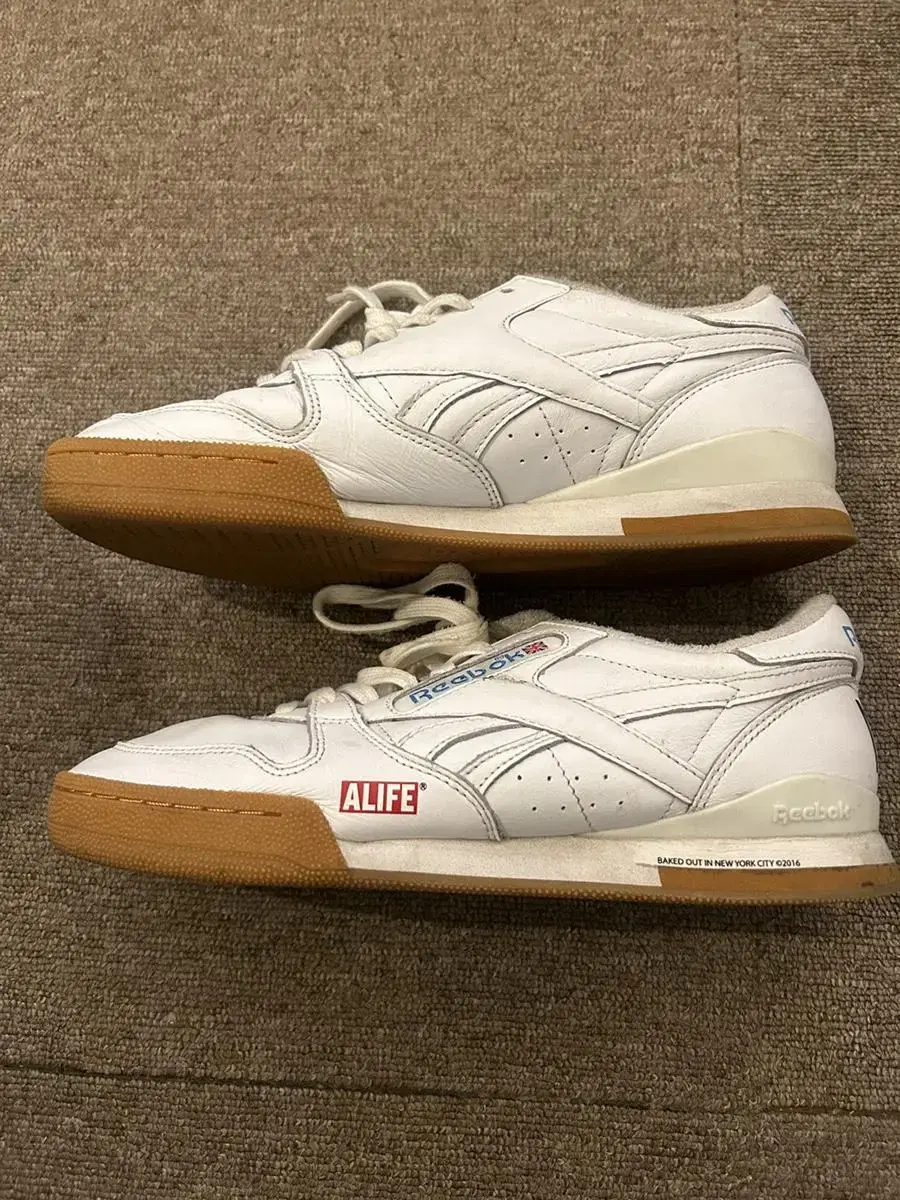 [265] 리복 Reebok Phase 1 Pro par ALIFE