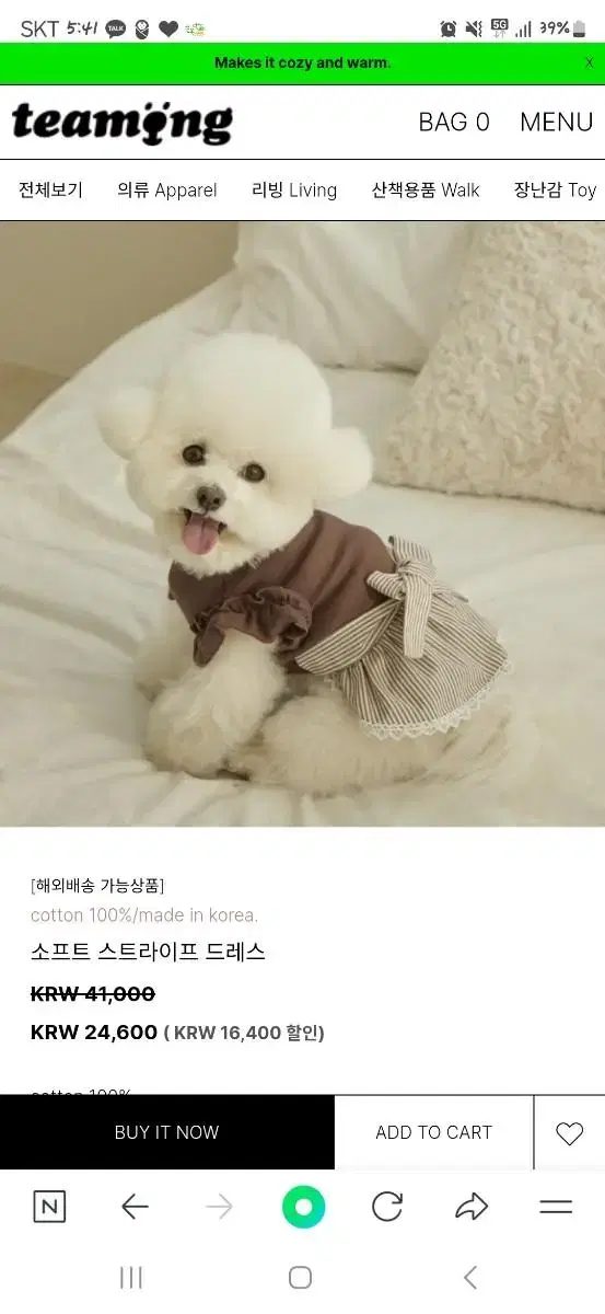 강아지옷