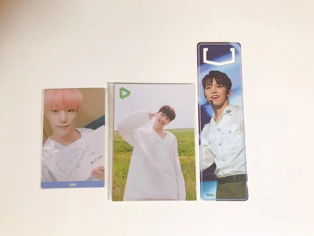 Seventeen dino Taiwan (Pansa) + Sevit Island (first come, first served) + Taiwan Bookmarks