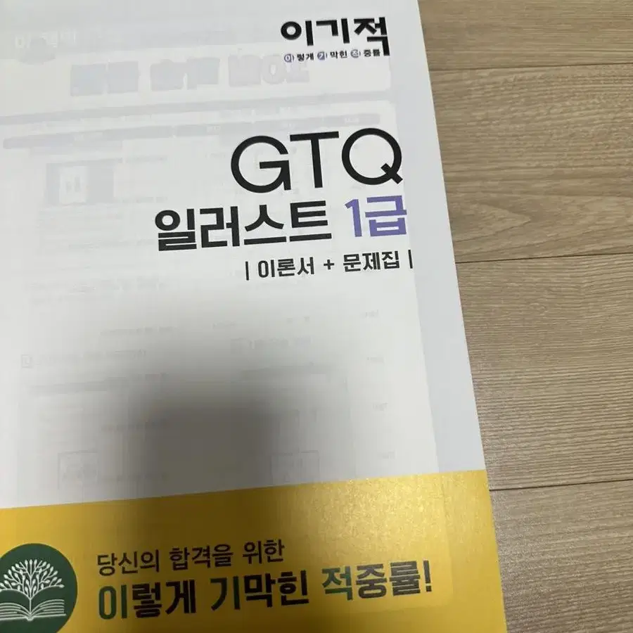 2020 GTQ 일러스트 1급